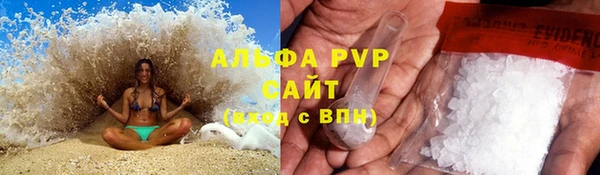 дживик Арсеньев