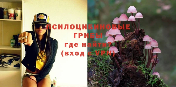дживик Арсеньев